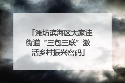 潍坊滨海区大家洼街道“三包三联”激活乡村振兴密码