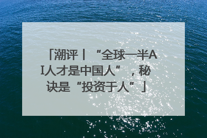 潮评丨“全球一半AI人才是中国人”，秘诀是“投资于人”