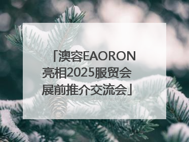 澳容EAORON亮相2025服贸会展前推介交流会