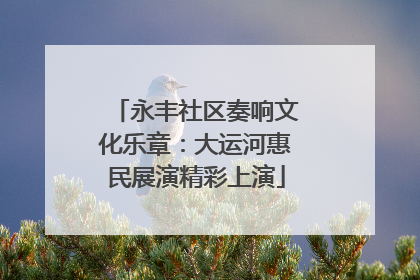 永丰社区奏响文化乐章：大运河惠民展演精彩上演