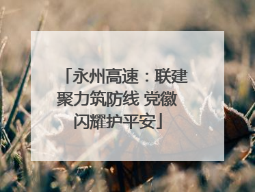 永州高速：联建聚力筑防线 党徽闪耀护平安
