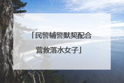 民警辅警默契配合 营救落水女子