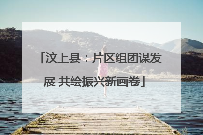 汶上县：片区组团谋发展 共绘振兴新画卷