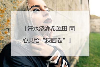 汗水浇灌希望田 同心共绘“绿画卷”