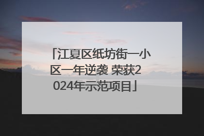 江夏区纸坊街一小区一年逆袭 荣获2024年示范项目