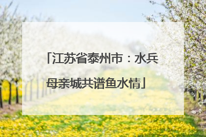 江苏省泰州市：水兵母亲城共谱鱼水情