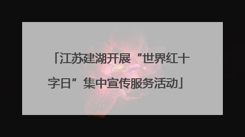 江苏建湖开展“世界红十字日”集中宣传服务活动