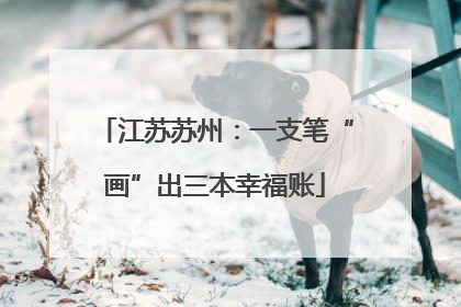 江苏苏州：一支笔“画”出三本幸福账