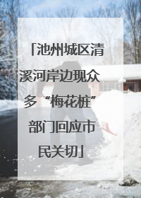 池州城区清溪河岸边现众多“梅花桩” 部门回应市民关切