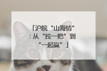 沪皖“山海情”：从“拉一把”到“一起赢”