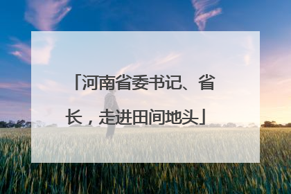 河南省委书记、省长，走进田间地头