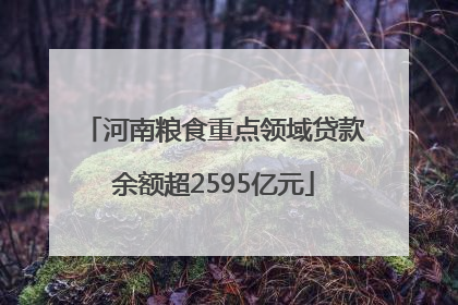 河南粮食重点领域贷款余额超2595亿元