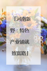 河南新野：特色产业铺就致富路