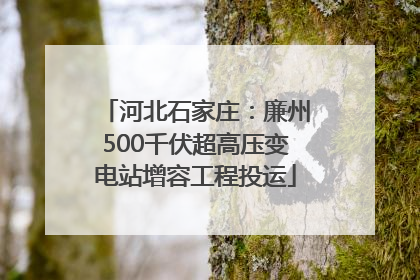 河北石家庄：廉州500千伏超高压变电站增容工程投运