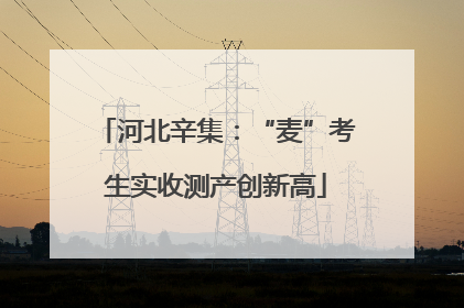 河北辛集：“麦”考生实收测产创新高