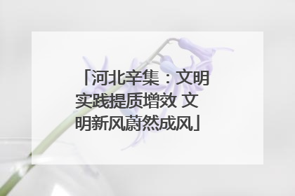河北辛集：文明实践提质增效 文明新风蔚然成风