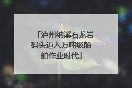 泸州纳溪石龙岩码头迈入万吨级船舶作业时代