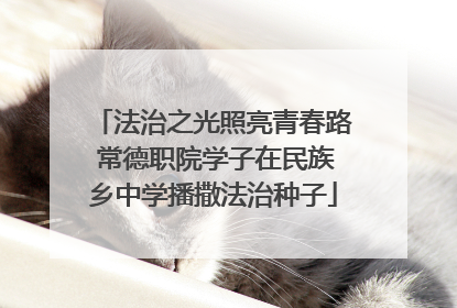 法治之光照亮青春路 常德职院学子在民族乡中学播撒法治种子