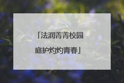法润菁菁校园 庭护灼灼青春