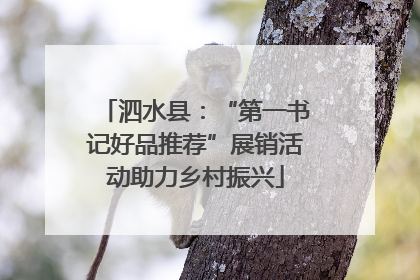 泗水县：“第一书记好品推荐”展销活动助力乡村振兴