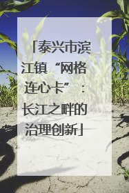 泰兴市滨江镇“网格连心卡”：长江之畔的治理创新