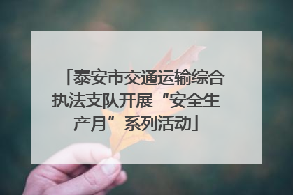 泰安市交通运输综合执法支队开展“安全生产月”系列活动