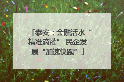 泰安：金融活水“精准滴灌” 民企发展“加速快跑”