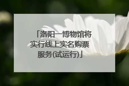 洛阳一博物馆将实行线上实名购票服务(试运行)