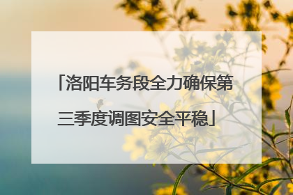 洛阳车务段全力确保第三季度调图安全平稳