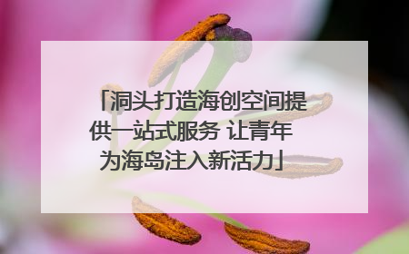 洞头打造海创空间提供一站式服务 让青年为海岛注入新活力