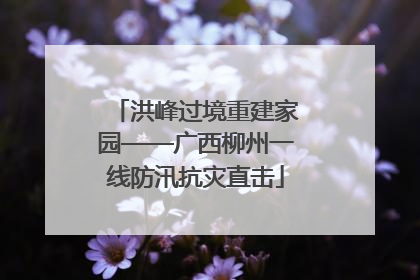 洪峰过境重建家园——广西柳州一线防汛抗灾直击