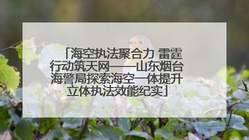 海空执法聚合力 雷霆行动筑天网——山东烟台海警局探索海空一体提升立体执法效能纪实