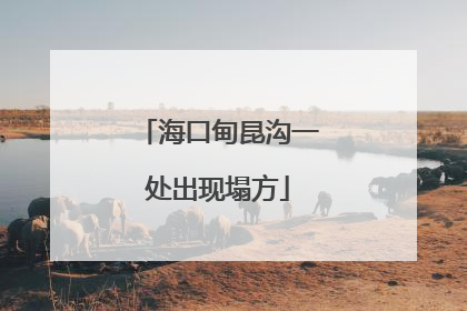 海口甸昆沟一处出现塌方