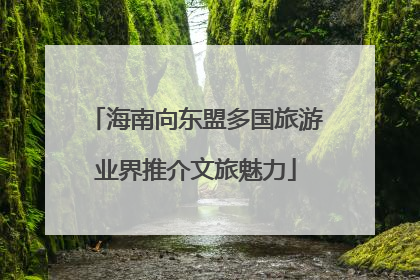 海南向东盟多国旅游业界推介文旅魅力