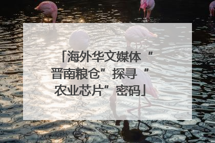 海外华文媒体“晋南粮仓”探寻“农业芯片”密码