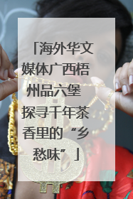海外华文媒体广西梧州品六堡 探寻千年茶香里的“乡愁味”