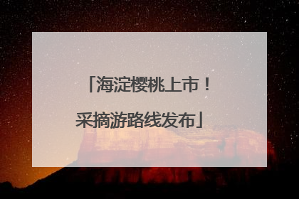 海淀樱桃上市！采摘游路线发布