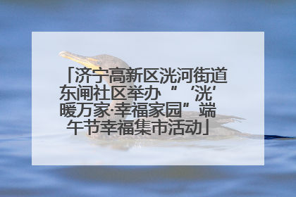 济宁高新区洸河街道东闸社区举办“‘洸’暖万家·幸福家园”端午节幸福集市活动