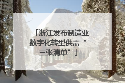 浙江发布制造业数字化转型供需“三张清单”