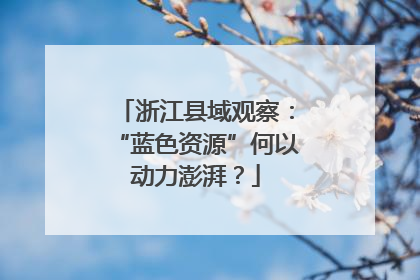 浙江县域观察：“蓝色资源”何以动力澎湃？