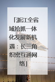 浙江全省域抢抓一体化发展新机遇：长三角织密互通网络
