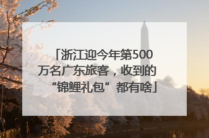浙江迎今年第500万名广东旅客，收到的“锦鲤礼包”都有啥