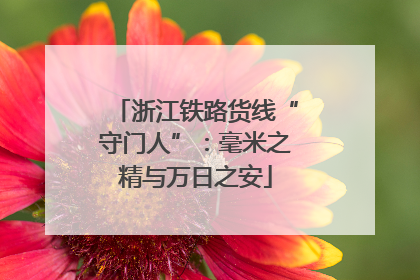 浙江铁路货线“守门人”：毫米之精与万日之安