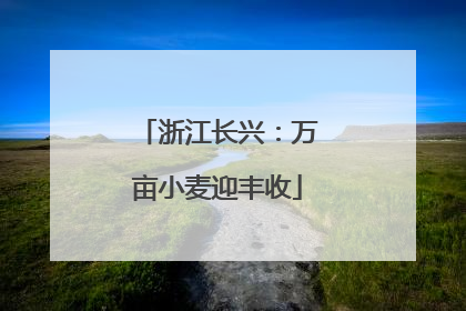 浙江长兴：万亩小麦迎丰收
