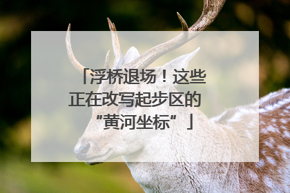 浮桥退场！这些正在改写起步区的“黄河坐标”