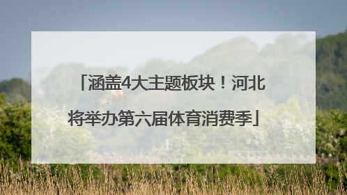 涵盖4大主题板块！河北将举办第六届体育消费季