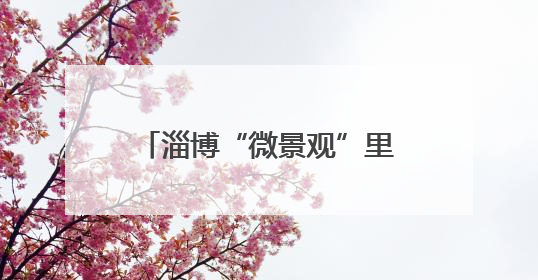 淄博“微景观”里藏着“幸福密码”