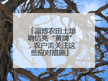 淄博农田土壤墒情亮“黄牌”，农户需关注这些应对措施