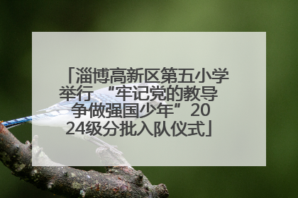 淄博高新区第五小学举行 “牢记党的教导 争做强国少年”2024级分批入队仪式