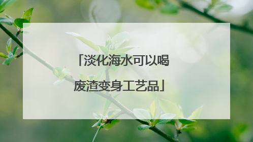 淡化海水可以喝 废渣变身工艺品